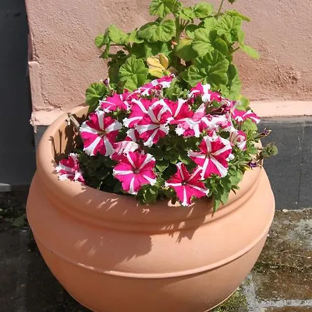 Flegrea House Aparthotel Pozzuoli